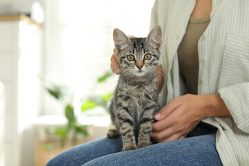 Woman with cute kitten at home, closeup