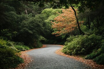Obraz premium Peaceful forest path with autumn leaves and lush greenery in serene woodland setting