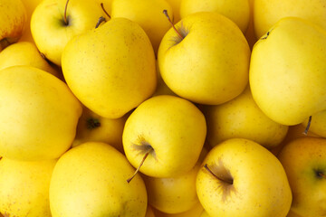 Fresh ripe yellow apples as background, above view