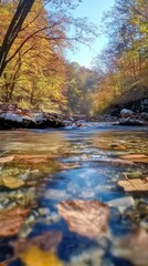 stream flowing through an autumn forest landscape. The vibrant fall colors of the trees surround the crystal-clear water