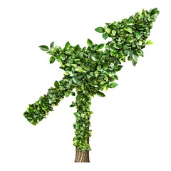 Fototapeta premium Growing upward arrow, leaves, tree, nature, growth, progress, environmental concept, stock photo