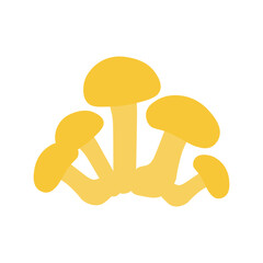 basidiomycota
