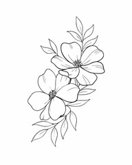 Delicate Hand-Drawn Floral Design with Elegant Flowers and Soft Leaves, Beautiful Line Drawing of Blossoms and Greenery, Intricate Floral Illustration