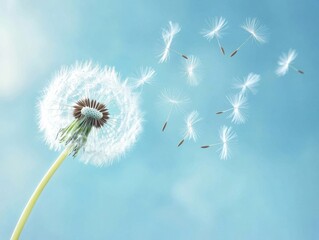 Close-up of dandelion seeds blowing against a soft blue background
