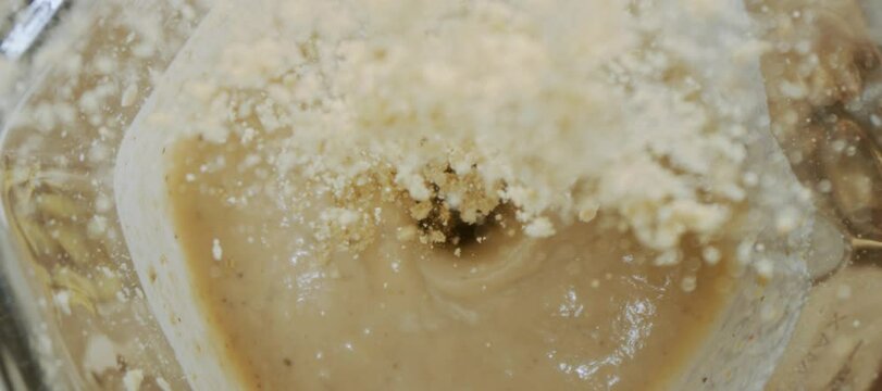 Slow-motion shot of an unrecognizable person pouring protein powder into milkshake in the blender jar
