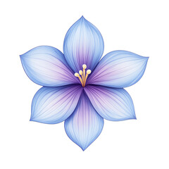 Fototapeta premium Blue Flower Illustration: A delicate blue flower with a purple center blooms against a white background, showcasing intricate detail in its petals and delicate stamens.