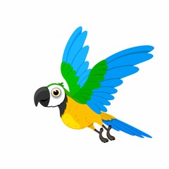 blue and yellow macaw ara ©  ABDUL KARIM