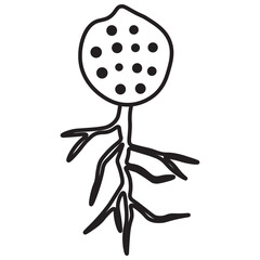 Chytridiomycota line icon