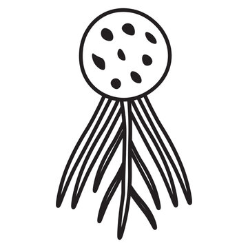 Chytridiomycota line icon