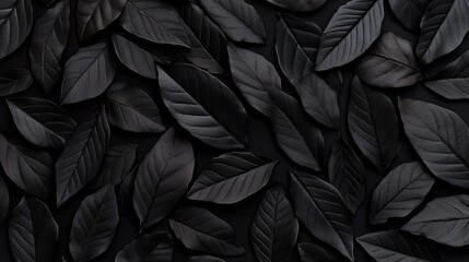 Black Leaf Background: A dramatic, moody texture created by a close-up arrangement of dark, black leaves, forming a seamless, repeating pattern.