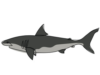 Shark in continuous line style on a white background.
