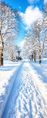 Fototapeta premium Winter wonderland scenic path snow-covered landscape nature photography serene environment peaceful viewpoint