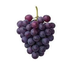 Fototapeta premium A cluster of fresh, purple grapes with a smooth texture and a natural sheen, showcasing their vibrant color and plump shape.