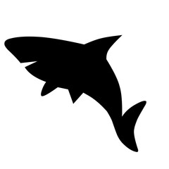 Shark silhouette 