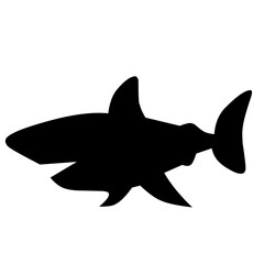 Shark silhouette 