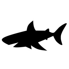 Shark silhouette 