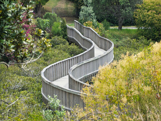 Curved Wooden Boardwalk Throu Lush Green Nature