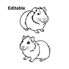 Hamster, hamster vector set, cute hamster, hamster illustration, hamster drawing
