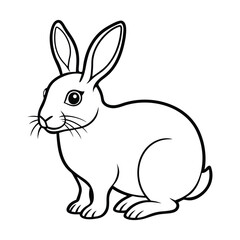 Rabbit, Cute rabbit vector, Easter bunny vector, cartoon rabbit, illustration of rabbit