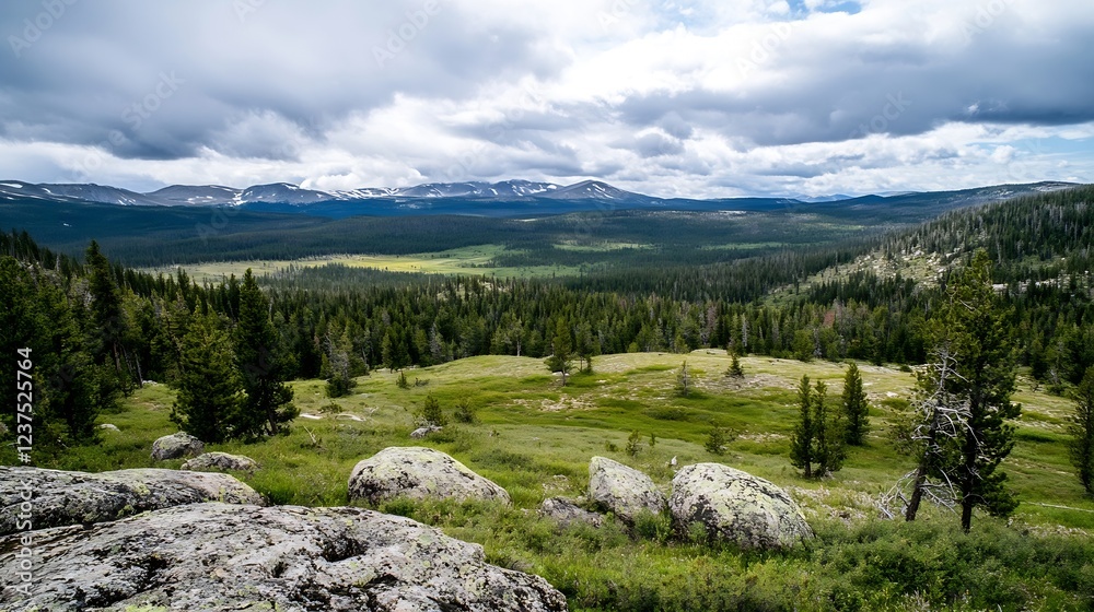 Aufkleber expansive mountain valley with cloudy sky and diverse forest : generative ai