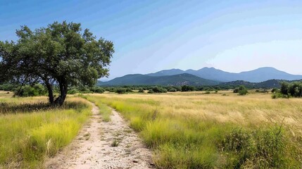 Obraz premium Scenic Rural Landscape with Dirt Path Leading to Distant Mountains and Clear Blue Sky : Generative AI