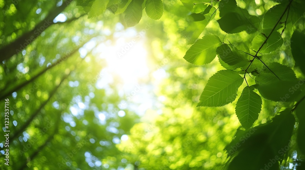 Poster sunlit green leaves in lush forest canopy with light rays : generative ai