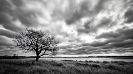 Fototapeta premium Dramatic Black and White Landscape Featuring Solitary Tree Under Overcast Skies : Generative AI