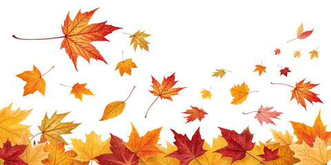 Falling Leaves Isolated on a White Background