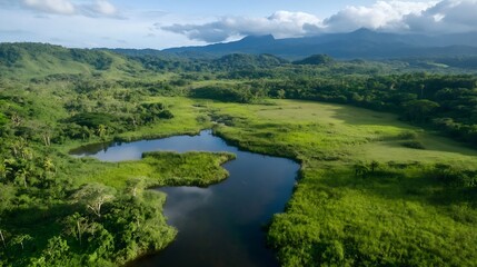 Obraz premium Aerial View of Verdant Wetlands and Distant Mountain Range Under Blue Sky : Generative AI