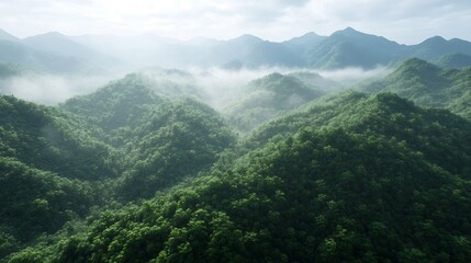 Fototapeta premium Fogdraped Verdant Mountain Ranges Under Overcast Skies in Remote Wilderness : Generative AI