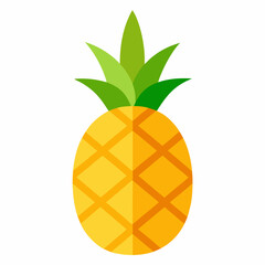 Pineapple fruit vector on white background.