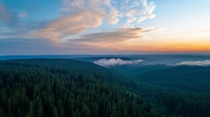 Fototapeta premium Majestic aerial view of vast dense forest and distant horizon at sunrise with vibrant sky : Generative AI