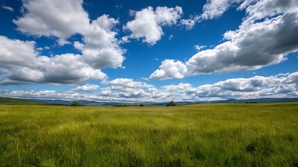 Fototapeta premium Vast Green Field Under Blue Sky with Fluffy White Clouds : Generative AI