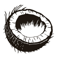 Colorful, black and white Coconuts and coconut half with leaves isolated on a white background Art & Illustration