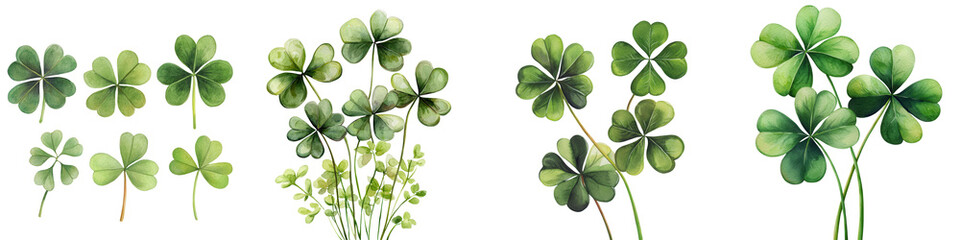 Patrick's day watercolor decoration elements featuring greenery natural setting artistic viewpoint