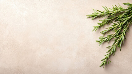 Fresh rosemary sprig on clean beige table, adding touch of nature