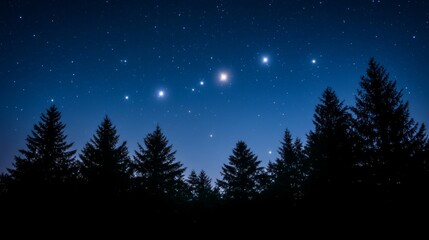 Fototapeta premium Night Sky Stars Above Silhouetted Pine Forest