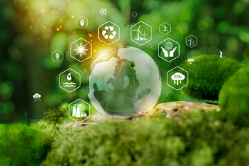 Renewable Energy. Light bulb with  energy sources icons for renewable sustainable development, green energy.