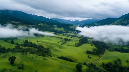 Aerial panorama of misty green valley with mountains in the background : Generative AI