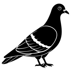 dove of peace
