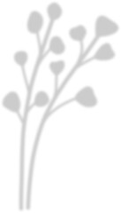 shadow leaf decoration 