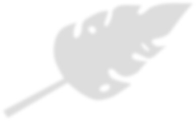 shadow leaf decoration 