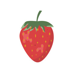 Strawberry fruit illustration isolated on white