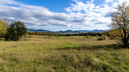 Fototapeta premium Vast Open Meadow with Golden Trees under Dramatic Cloudy Sky : Generative AI