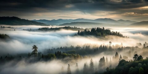 Naklejka premium Misty fog rolls across a darkened landscape, ominous, wilderness, ominous, wilderness, heavy fog, atmospheric, somber mood