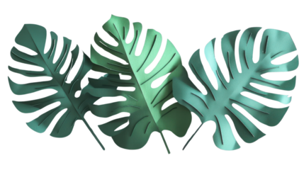 Three paper cut monstera leaves creating tropical vibe on transparent background