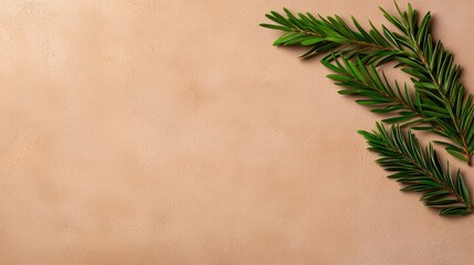 A close-up of a vibrant green plant leaf set against a warm, neutral backdrop, perfect for natural-themed designs.