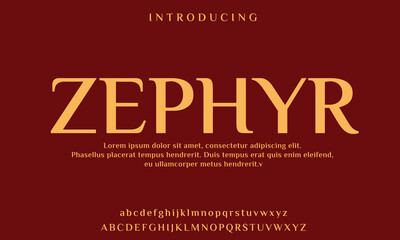 High-Quality Custom Fonts | Stylish, Modern & Classic Typefaces for Designers