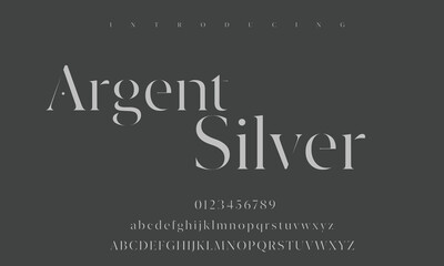 High-Quality Custom Fonts | Stylish, Modern & Classic Typefaces for Designers