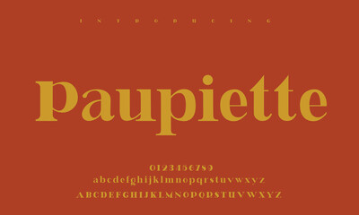 High-Quality Custom Fonts | Stylish, Modern & Classic Typefaces for Designers